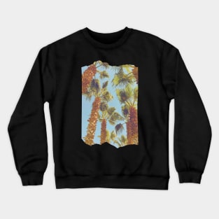 Pretty picture of a Palm Tree. Pretty Palm Trees Photography design with blue sky Crewneck Sweatshirt